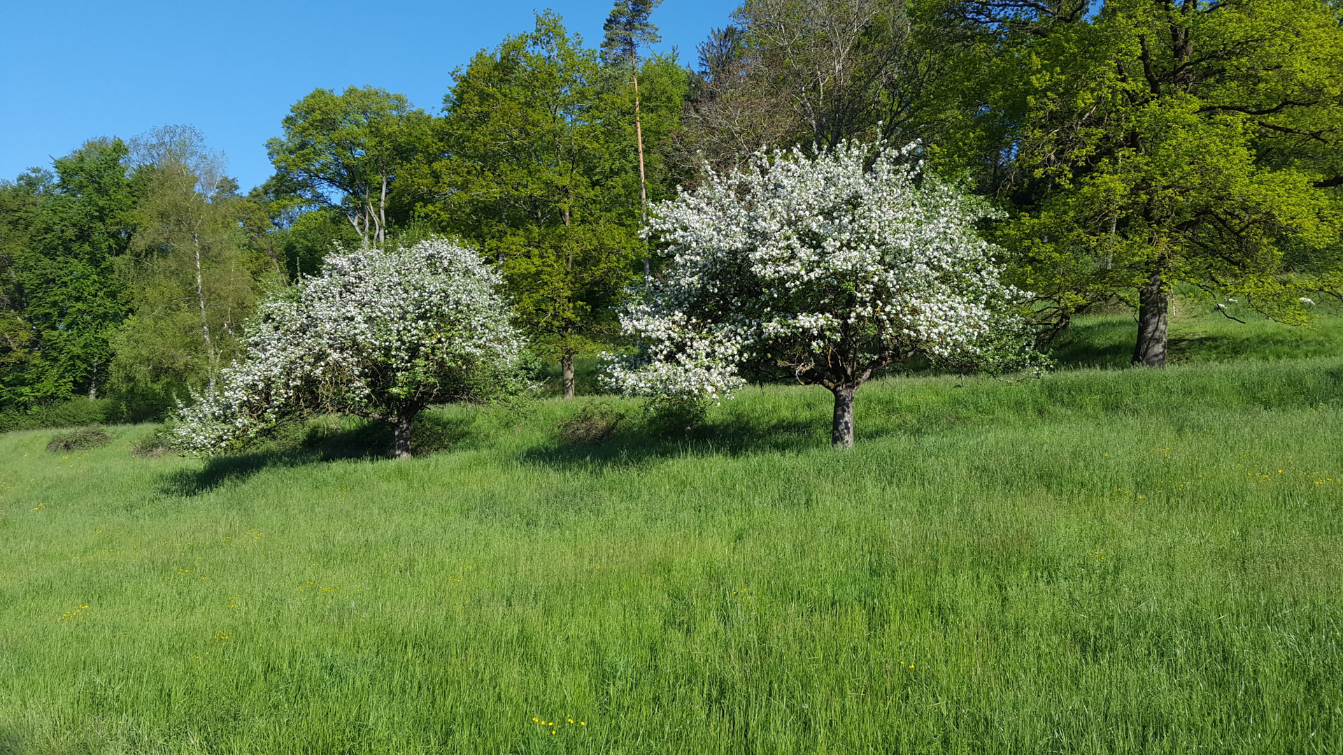 Landwirtschaft