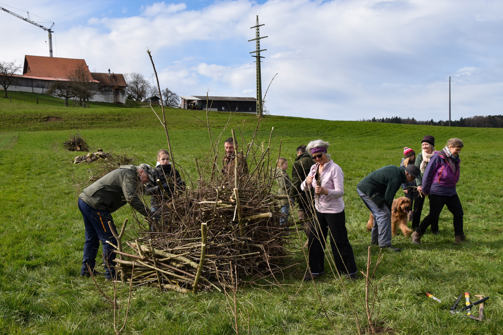 Umweltbildung und Natureinsätze