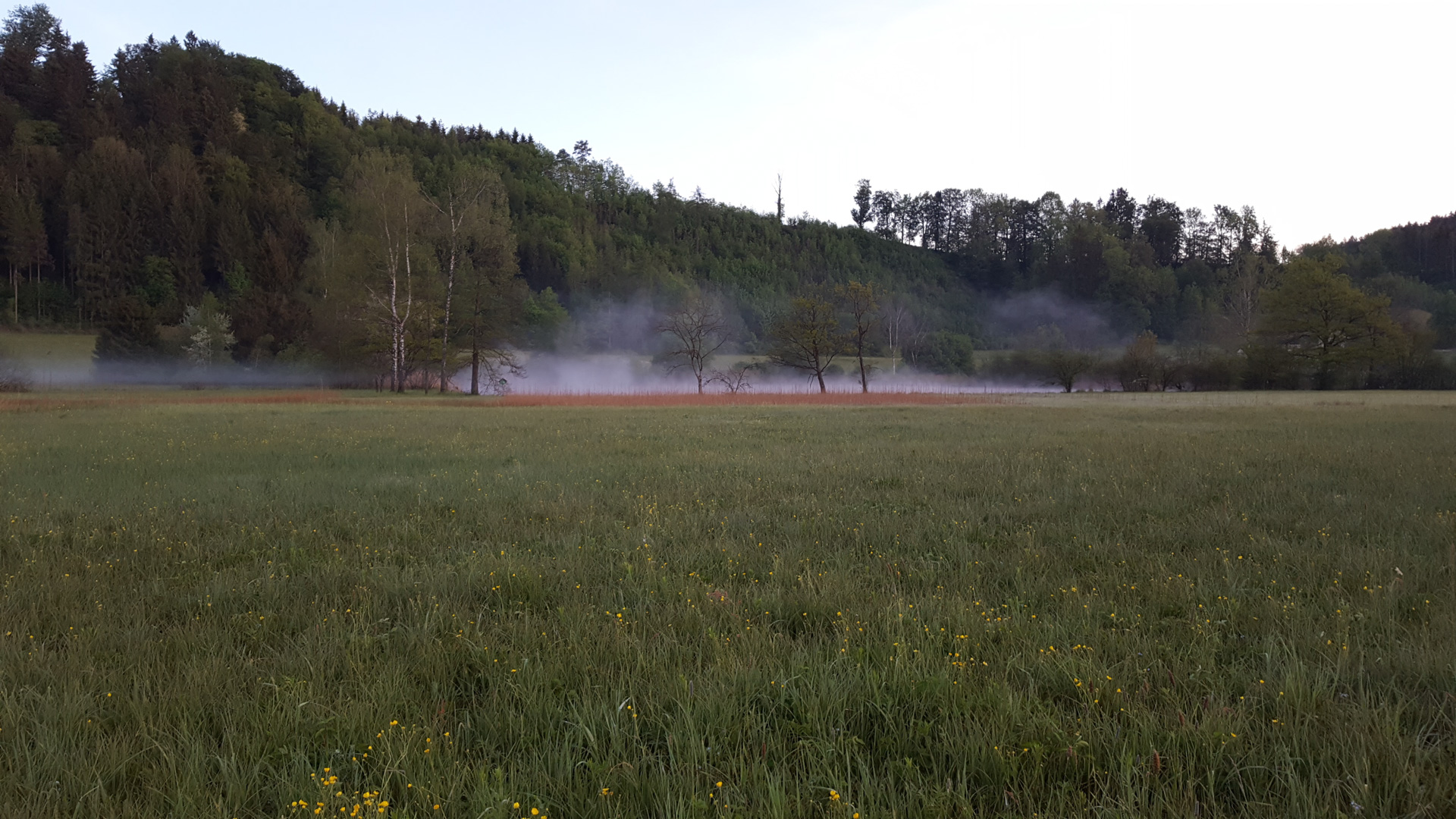 Betreuung von Schutzgebieten